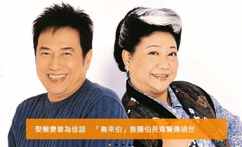  热播短剧顾总的二婚娇妻在线免费观看全集，顾总的二婚娇妻全集免费观看，热播短剧爆笑来袭--第1张