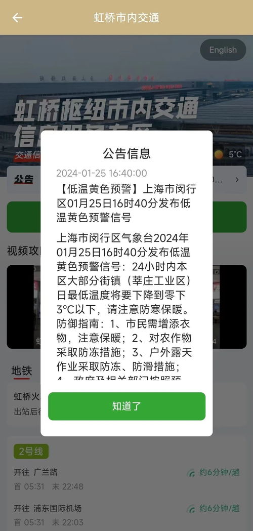 怎么查车辆违章_随申办怎么查车辆违章--第1张