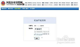 查违章车辆查询怎么查_如何查违章车辆查询车辆违章查询--第1张