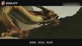  热播短剧龙生九子，在线免费观看全集，龙生九子，全集免费在线观看--第1张