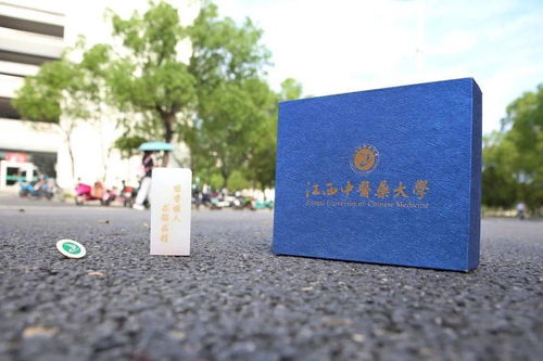  热播短剧朝朝暮暮都是你在线免费观看全集，朝暮情缘，全集免费在线观看--第1张