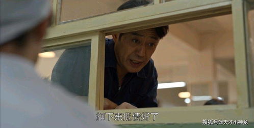  热播短剧失忆后我一脚踹了渣老公在线免费观看全集，失忆后我踹了渣老公，免费在线全集观看--第1张
