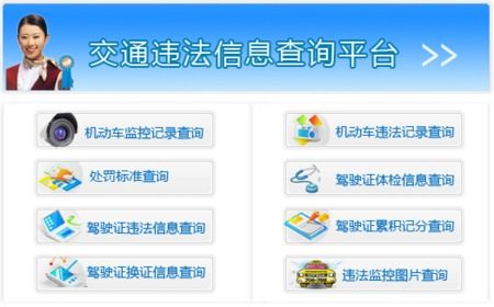机动车交通违章查询_机动车交通安全违章查询--第1张