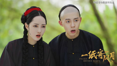  肥宅当皇后，热播短剧，在线免费观看全集，肥宅当皇后，热播短剧在线免费观看全集--第1张