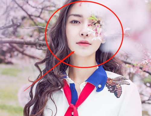  傅少的私宠罪妻，热播短剧在线免费观看全集，傅少的私宠罪妻，热播短剧在线免费观看全集，一个引人入胜的剧情！--第1张