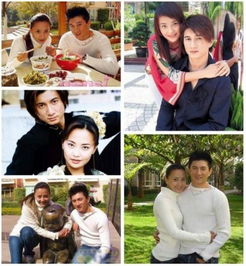  热播短剧极品前妻的翻身逆袭在线免费观看全集，逆袭前妻，极品前夫的追妻火葬场--第1张