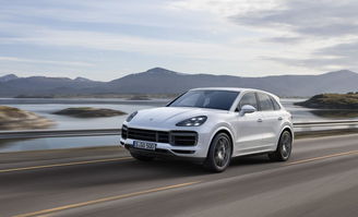 porschemacan卡宴_porsche 卡宴--第1张