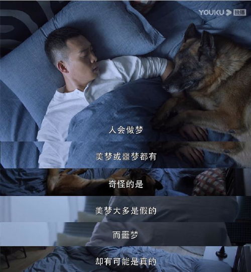  ，热播短剧重生后我救赎了偏执大佬在线免费观看全集--第1张