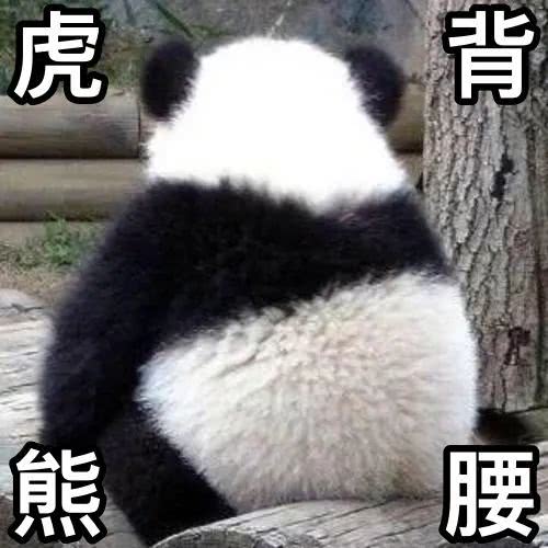 亚洲狮致命缺点_亚洲狮问题--第1张