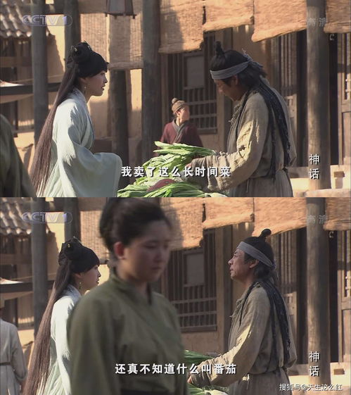 穿越之古代纵横花都，热播短剧在线免费观看全集--第1张