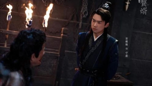 赘婿大结局版剧情介绍大全_赘婿大结局剧透--第1张