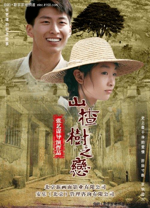  热播短剧布衣神算在线免费观看全集--第1张