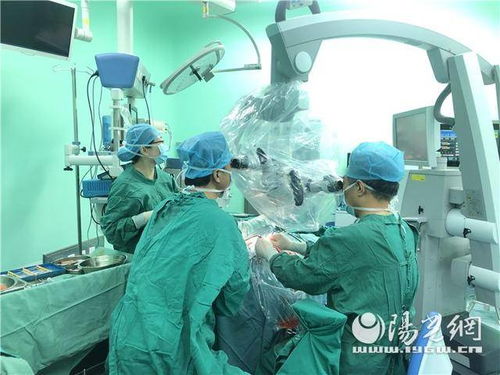  热播短剧卖鱼我成了首富在线免费观看全集--第1张
