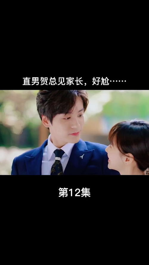  贺总的复仇娇妻，热播短剧在线免费观看全集，贺总的复仇娇妻，全集在线免费观看--第1张