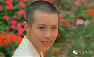  热播短剧光头女人的重生在线免费观看全集--第1张