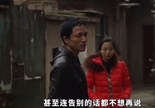  热播短剧少帅夫人离家出走了在线免费观看全集--第1张
