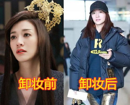  沐小姐您豪门千金的身份瞒不住了！热播短剧在线免费观看全集--第1张