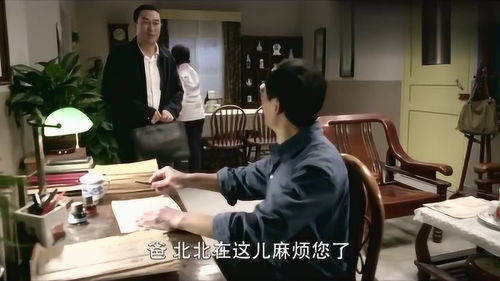  热播短剧重生老婆孩子热炕头在线免费观看全集，重生老婆孩子热炕头免费在线全集观看，热播短剧的魅力--第1张