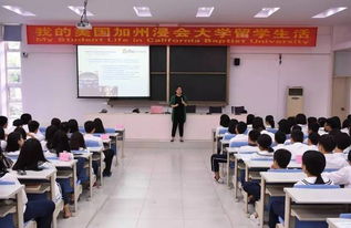  中小学教育苗圃网，引领教育新潮流，培养未来之星--第1张