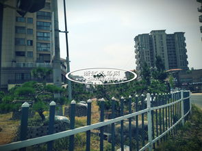  江苏最大的苗木批发市场在哪里？--第1张