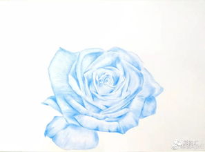  送3朵玫瑰花，爱的独特表达，表达爱意的玫瑰花赠送，三朵玫瑰花传递爱的独特情感--第1张