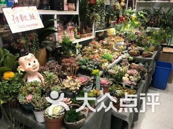  我附近花店地址，附近花店，浪漫之花--第1张
