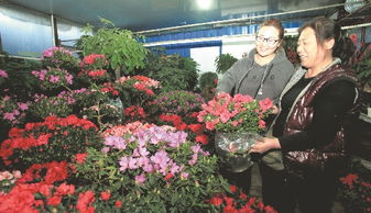  西安鲜花批发市场电话——一站式鲜花采购指南，西安鲜花批发市场电话，一站式采购指南，轻松选购鲜花！--第1张