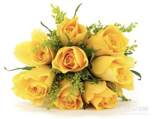  21朵玫瑰，适合送给谁的花卉之选，21朵玫瑰，送给心中挚爱之人的花卉之选--第1张