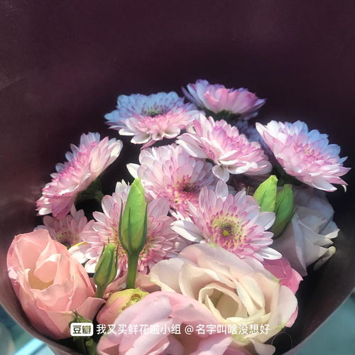  妈妈过生日送什么花寓意好，妈妈过生日送康乃馨花寓意好--第1张