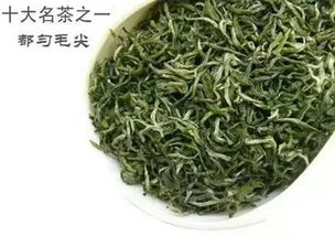  中国十大名贵竹子排名--第1张