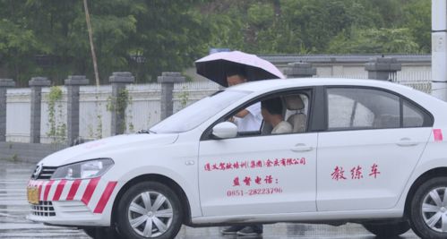  安逸花客服，您的贴心服务伙伴，安逸花客服，您的贴心服务伙伴，轻松解决您的消费难题--第1张