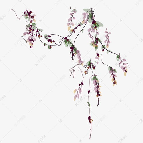  紫藤花图片手绘--第1张