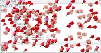  9999朵玫瑰代表什么，9999朵玫瑰，爱的无尽承诺和浪漫--第1张