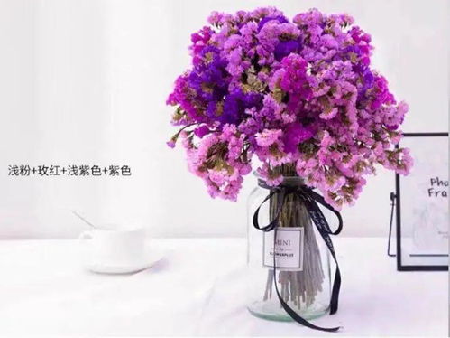  勿忘我花语图片，唯美之花，永恒的记忆，勿忘我花语，永恒的记忆之花，唯美之花的图片展示--第1张