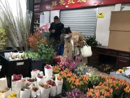  情人节卖玫瑰花多少钱一支--第1张