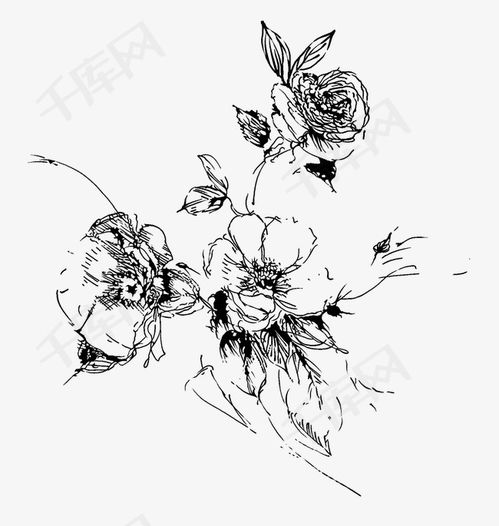  花卉图片手绘简笔画，花卉手绘简笔画图片欣赏--第1张