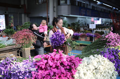  昆明鲜花送货上门——让美丽与心意并存，昆明鲜花送货上门，美丽与心意并存的鲜花体验--第1张