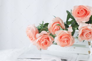  玫瑰花图片唯美高清，感受浪漫与美丽的完美结合，玫瑰花唯美高清图片，浪漫与美丽的完美结合--第1张