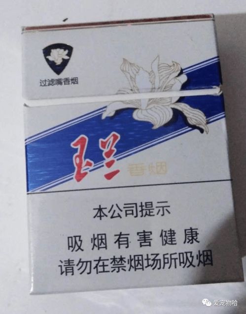  玉兰香烟--第1张
