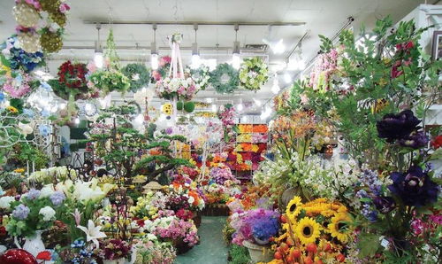  六朵花店官网，打造您的专属花卉体验--第1张