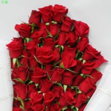  ，十朵玫瑰花的价格，浪漫与价值的完美结合，十朵玫瑰花的价格，浪漫与价值的完美结合之谜--第1张