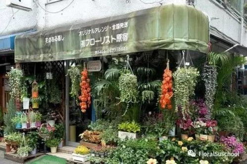  花店开在什么地方最好，花店开在商业区最佳--第1张