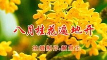  歌曲八月桂花遍地开--第1张