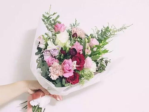  玫瑰花数字的含义与图片--第1张