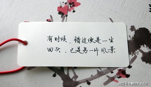  最暖心的情话打动情人--第1张