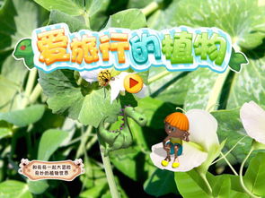  哪些植物的种子传播方法--第1张
