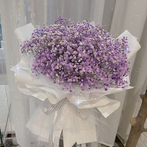  橙色满天星的花语和寓意，橙色满天星的花语和寓意，温馨、浪漫、美好。--第1张