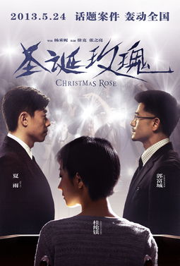  圣诞玫瑰电影剧情介绍--第1张
