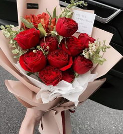  励志玫瑰花语大全，励志玫瑰花语，坚持不懈，勇往直前--第1张