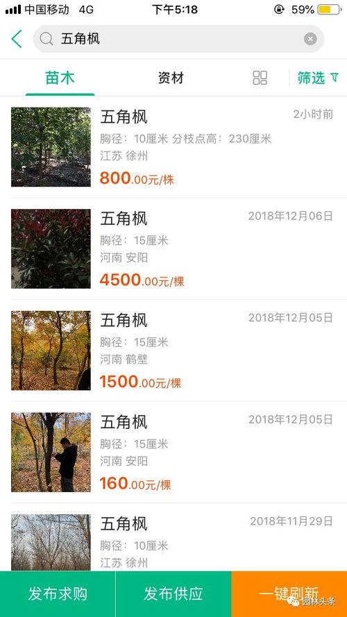  苗木交易平台，轻松实现苗木交易，让买卖更简单，苗木交易平台，轻松实现苗木交易，让买卖更简单之一站式服务平台，助力行业繁荣发展--第1张